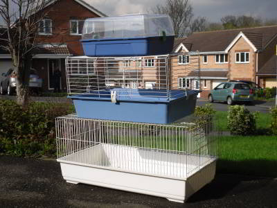 suitable cages